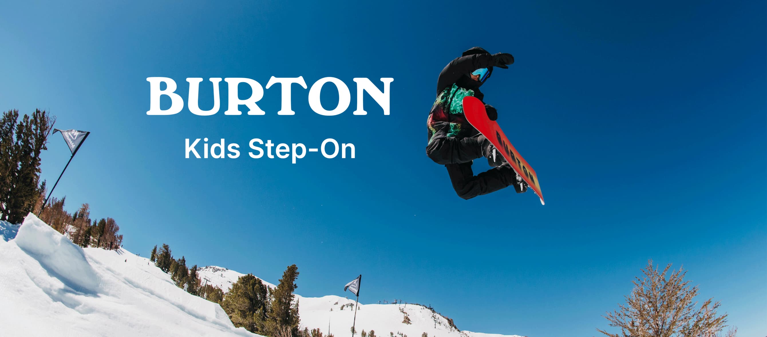 thinklab shopify store development service